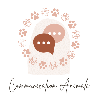 Communication animale